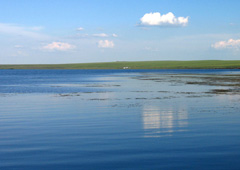 �A�c���ģ�����A�c���ܛ�������������S