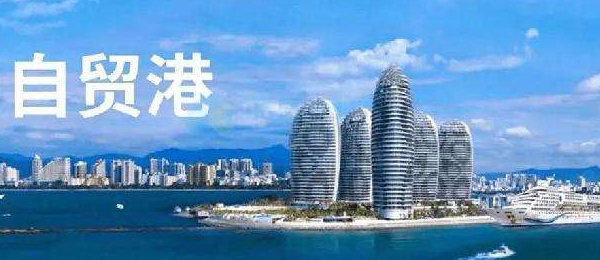 �������������w