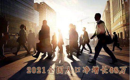 �������������w